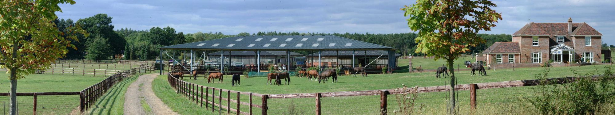 Livery at Holme Park Stud